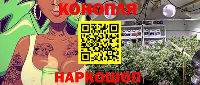 ГАЛЛЮЦИНОГЕННЫЕ ГРИБЫ Шебекино
