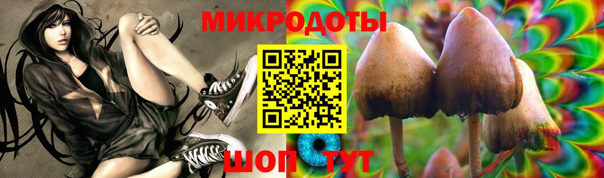 Псилоцибиновые грибы мицелий Ипатово